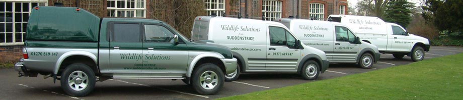 Suddenstrike Ltd vehicles