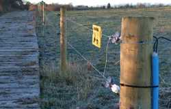 electric fencing; agricultural fencing - Post and Rail; Stock Fencing; Barbed Wire; Sheep Netting; Electric Tape and/or wire; Mnage and Arena Fencing; Wooden and Metal Field Gates; Electric Spring Gates; Stiles; Kissing Gates