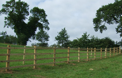 post and rail fencing; agricultural fencing - Post and Rail; Stock Fencing; Barbed Wire; Sheep Netting; Electric Tape and/or wire; Mnage and Arena Fencing; Wooden and Metal Field Gates; Electric Spring Gates; Stiles; Kissing Gates