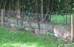 Rabbit protection fence