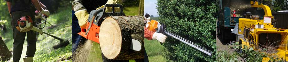Vegetation removal - Strimming, Chain Saw, Hedge Cutter and Chipper