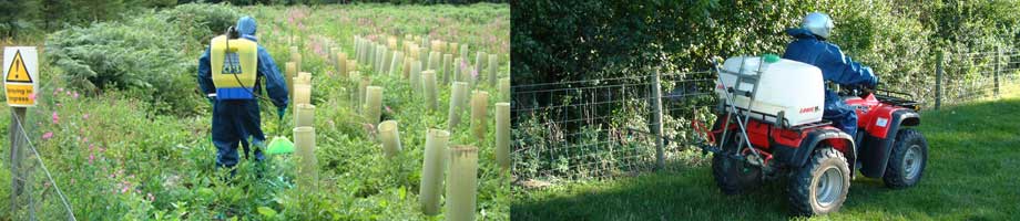 Weed Control - Weed spraying using a knapsack and herbicide application using a spray mounted ATV